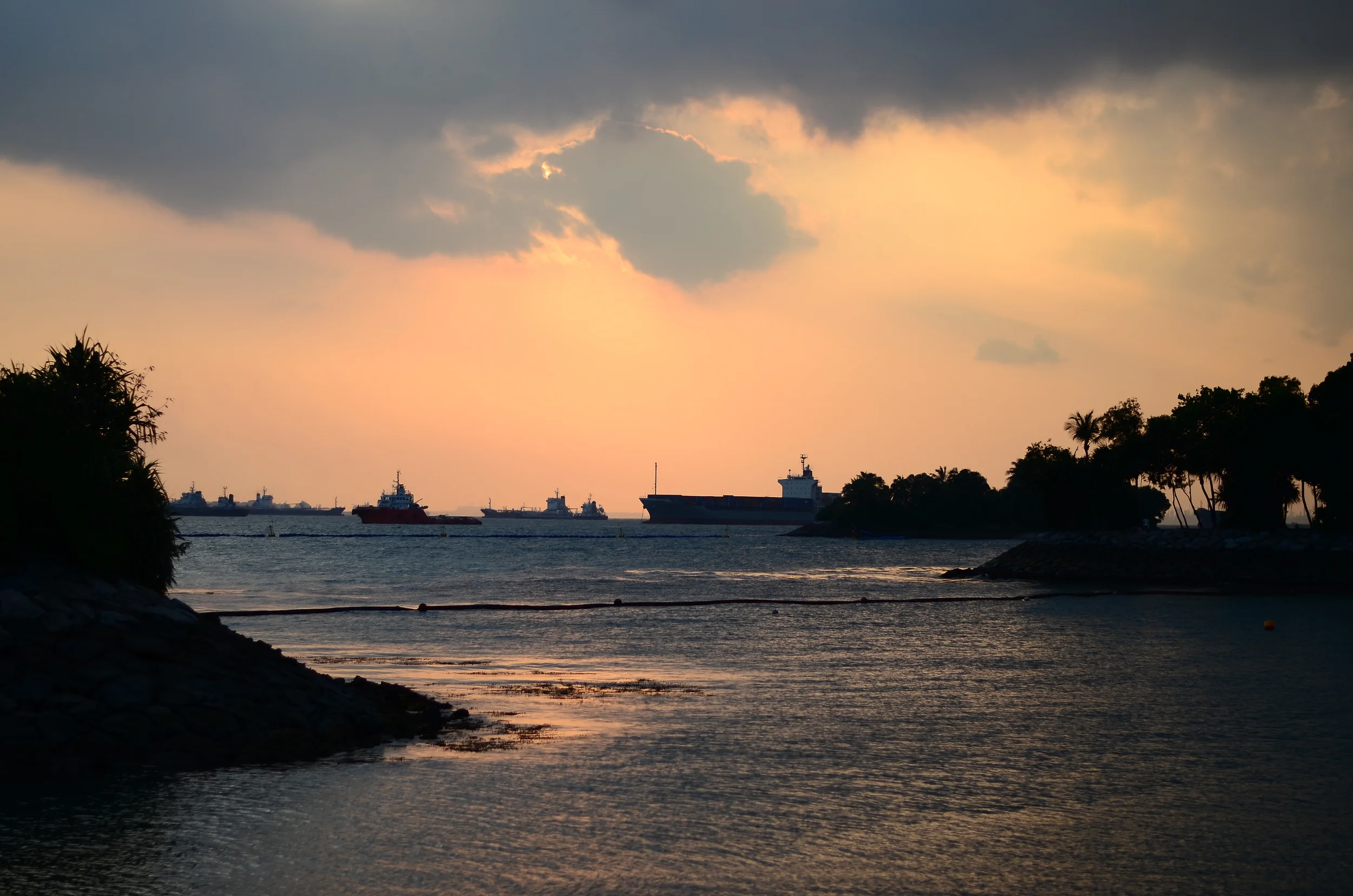 DSC_4665.JPG