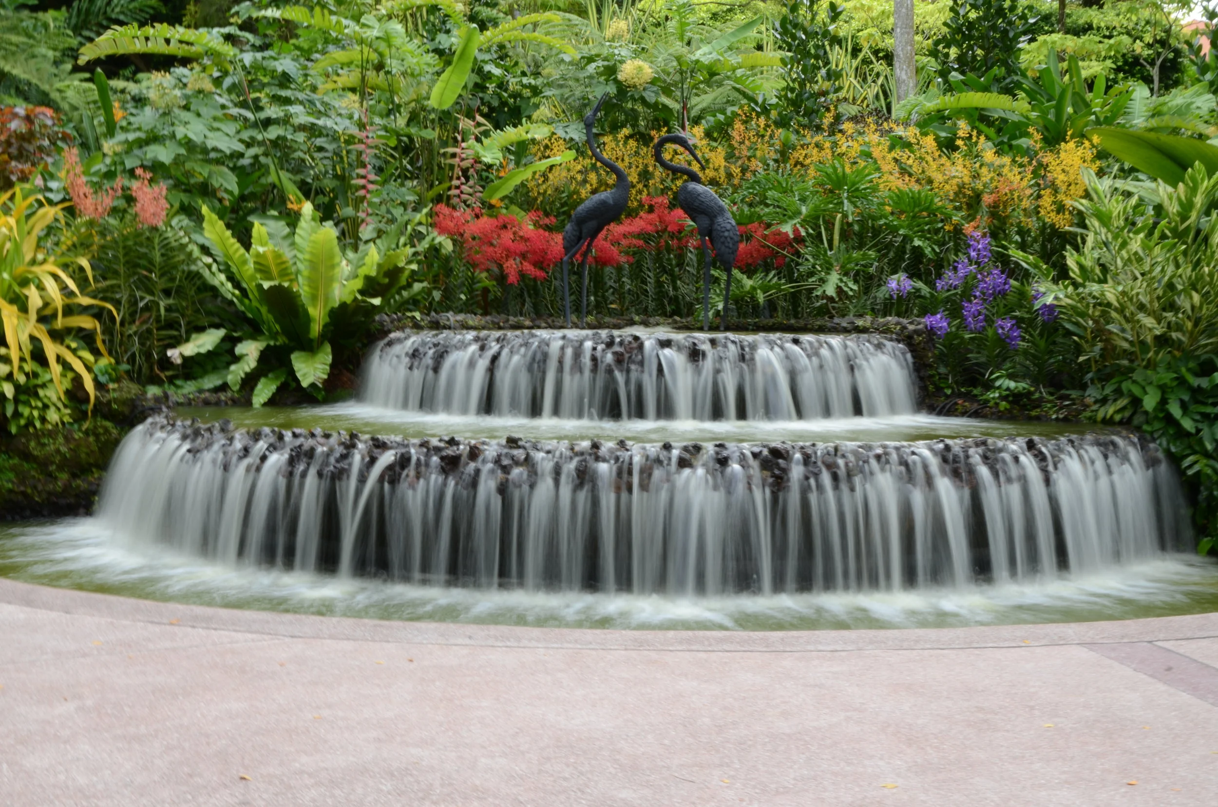 DSC_0180.JPG