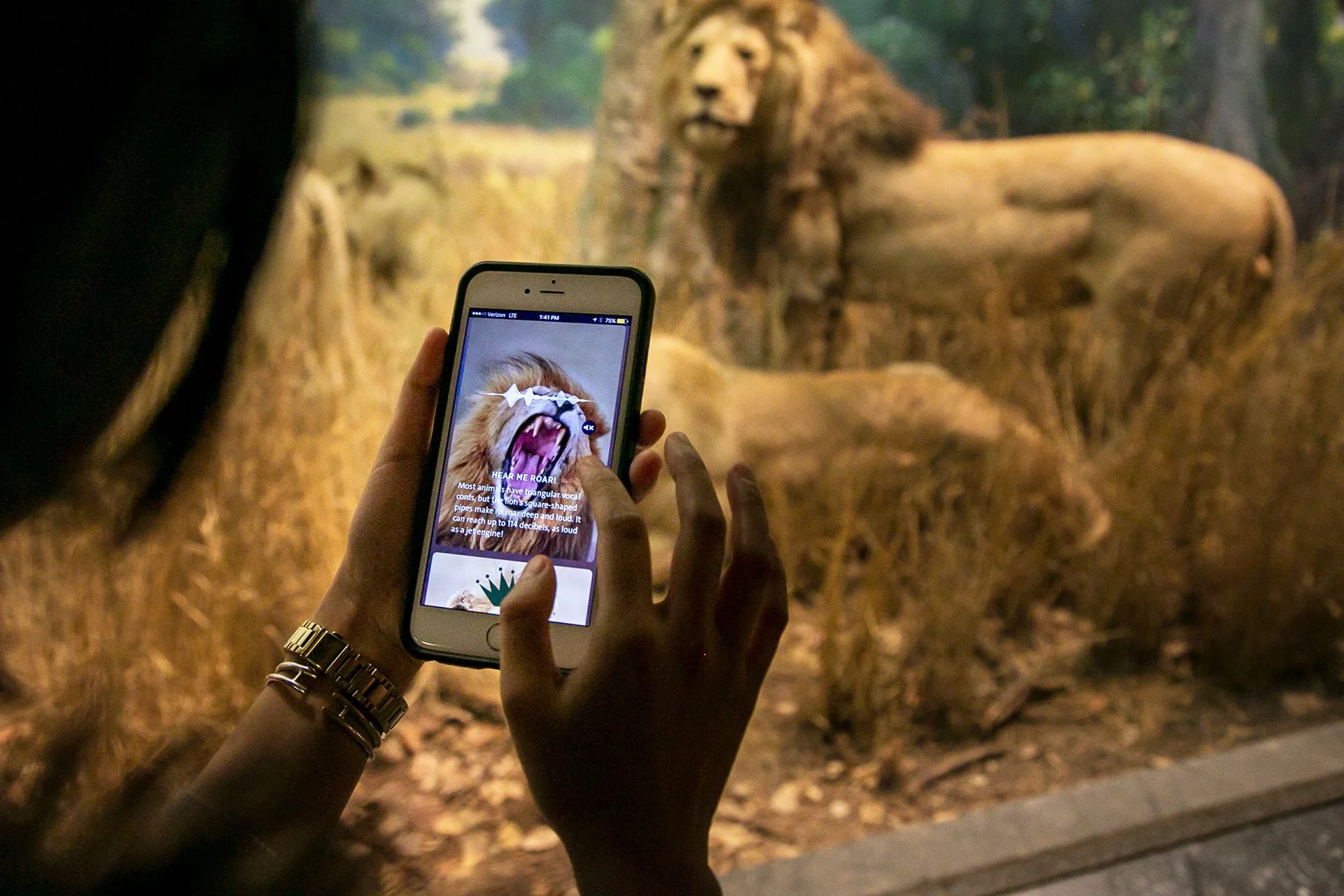 amnh-explorer-app-4.jpg