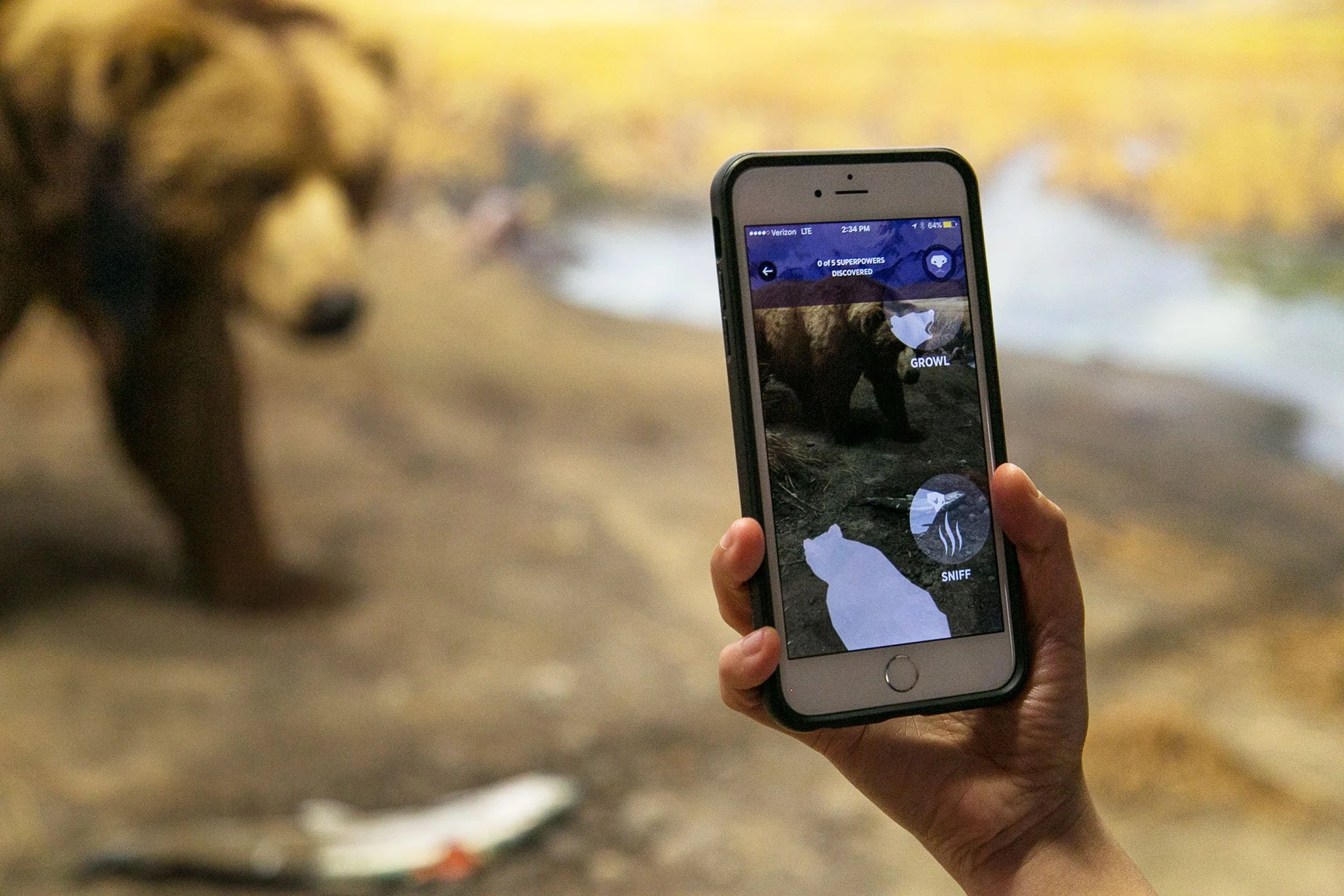 amnh-explorer-app-5.jpg
