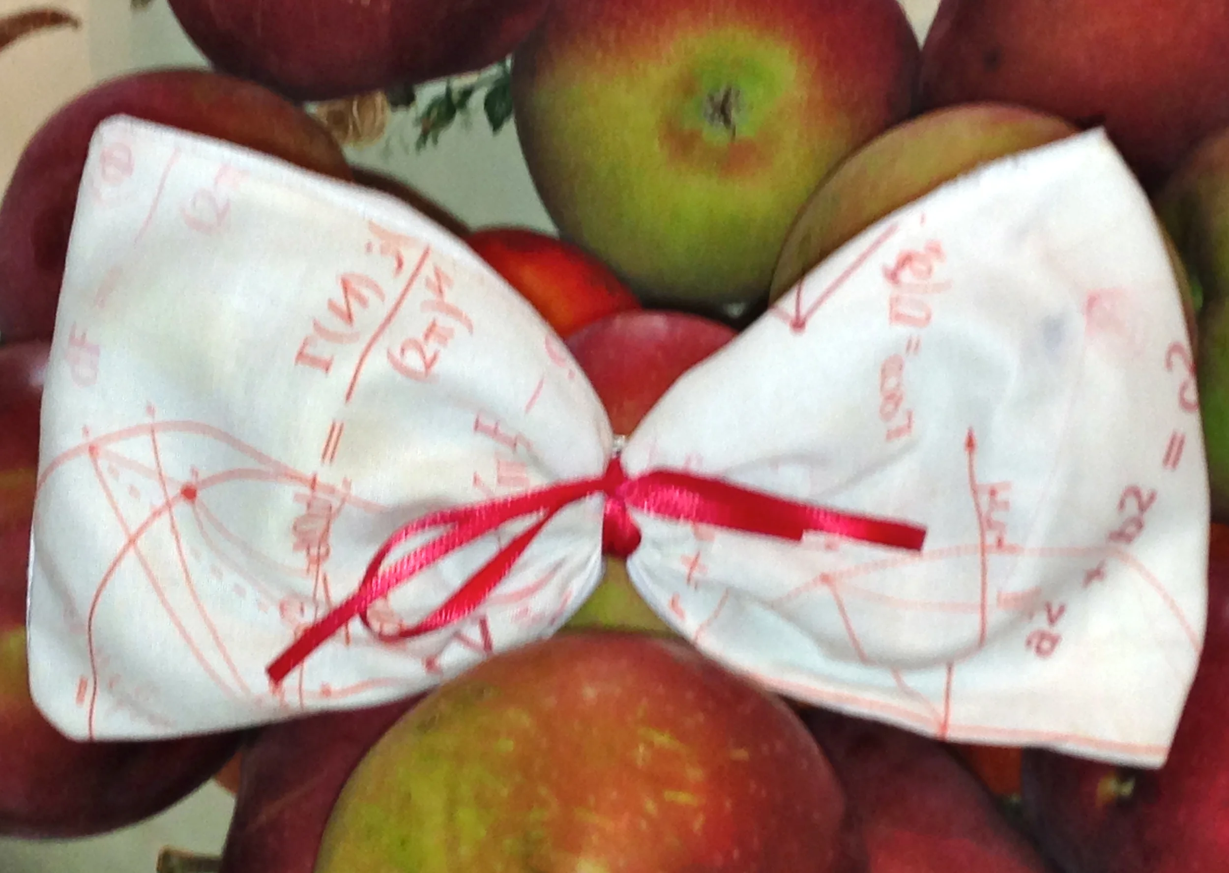 Math Hair Bow