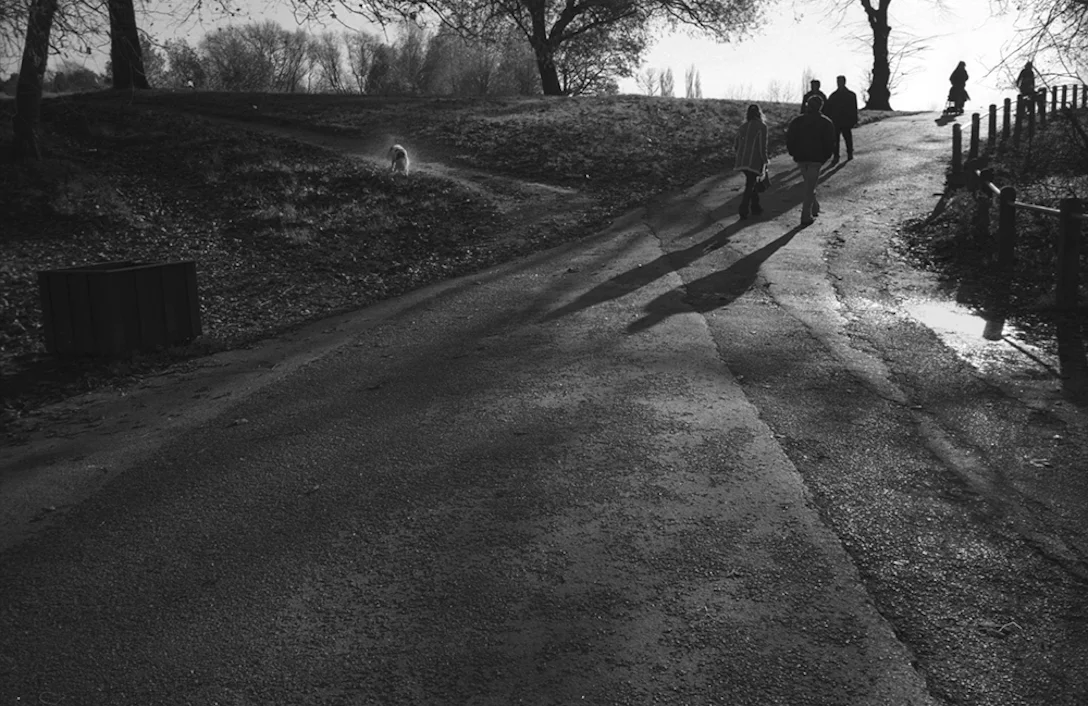wetdogb_w-Edit.jpg
