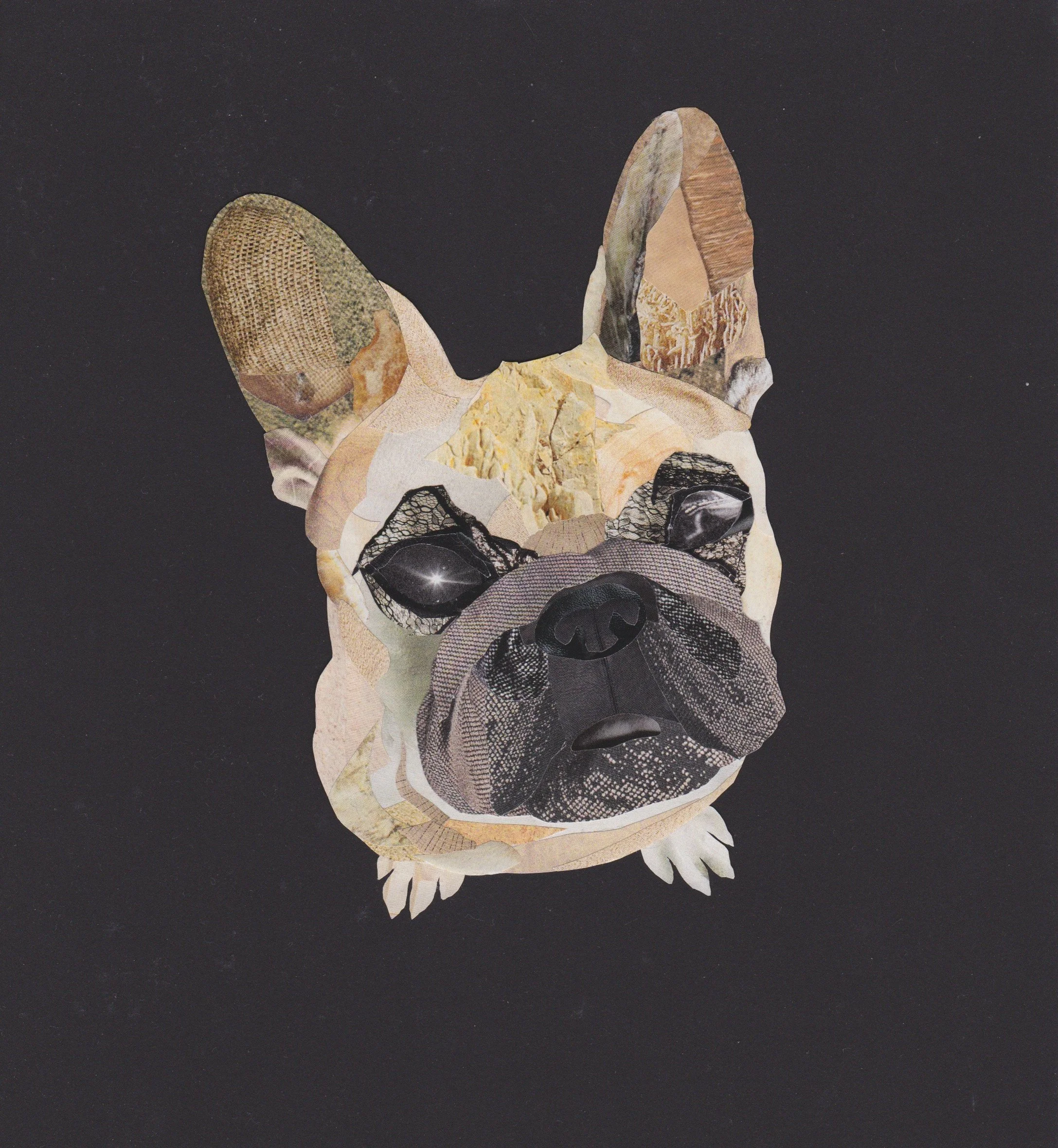 Frenchie