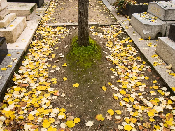 PB110277.jpg