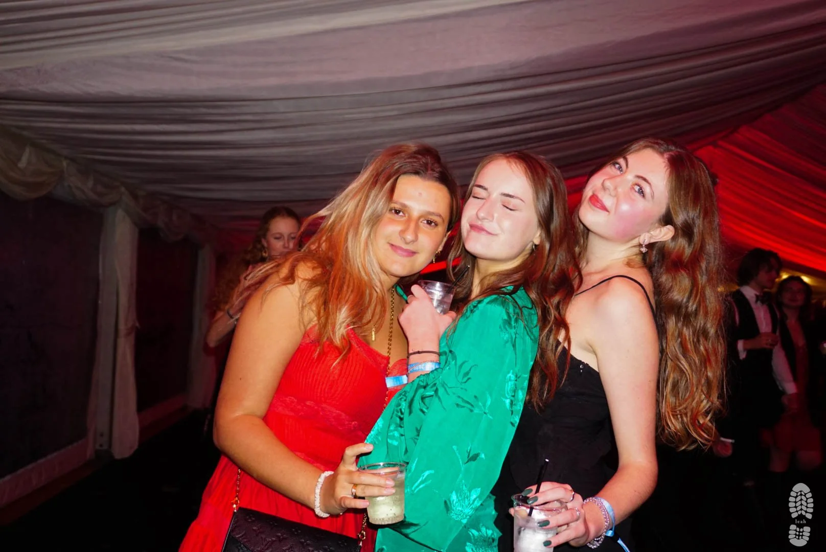 DSC09336-2.jpg