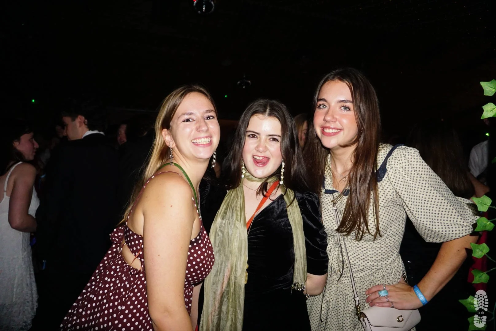 DSC09372-2.jpg