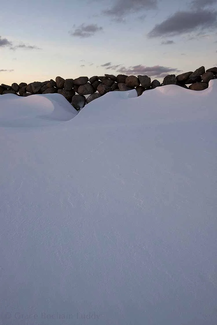 Windbreak