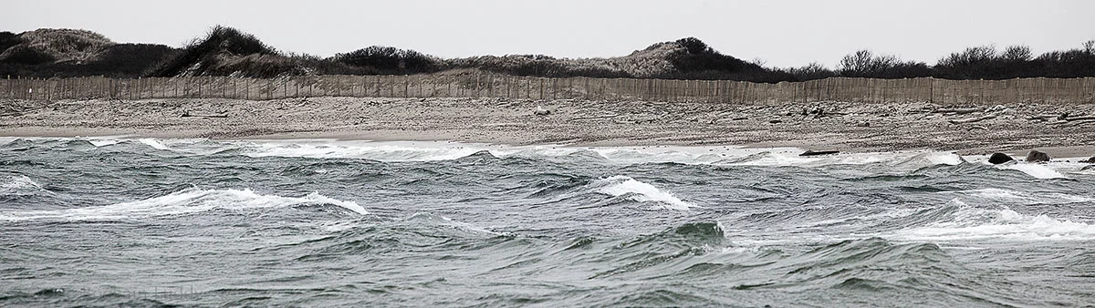 The beach on the West Side with no snowy owl.