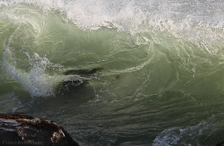 The people at the Poetry Project saw my book and asked to see the pictures bigger. Here is one of the pictures from the book, called "Cathy's Wave". It's named for my sister.