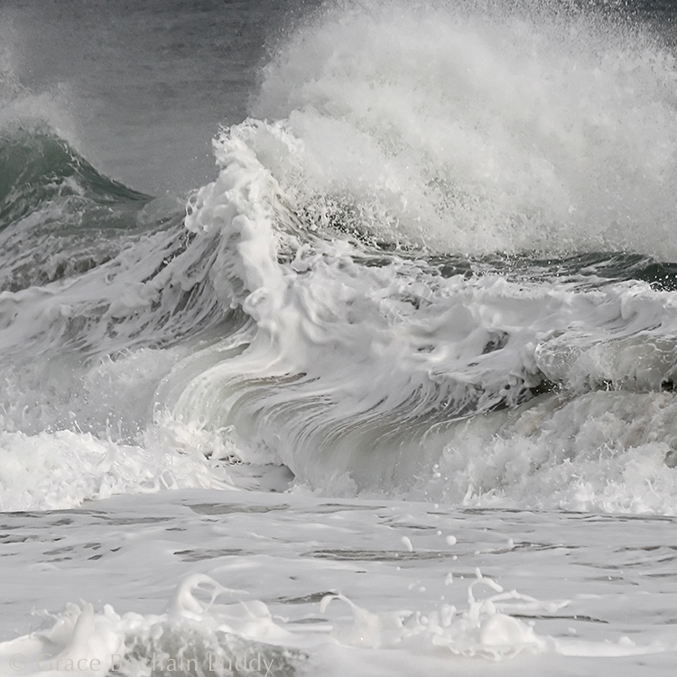 This picture is called "Back Splash." It's also in the book.