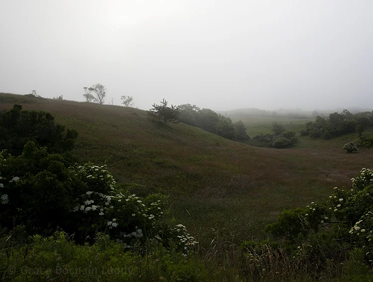 This is in the southwest part of the island, looking toward Rodman's Hollow.