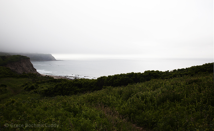 This was taken in Rodman's Hollow. Do you see that bright edge by the farthest bluffs? That’s looking north… that’s where I was when I took the first picture. You can see it’s bright over there.