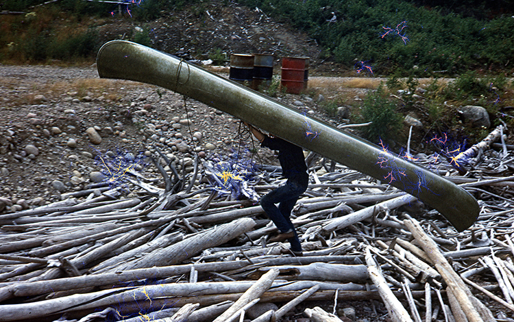 But I did remember the driftwood correctly! 