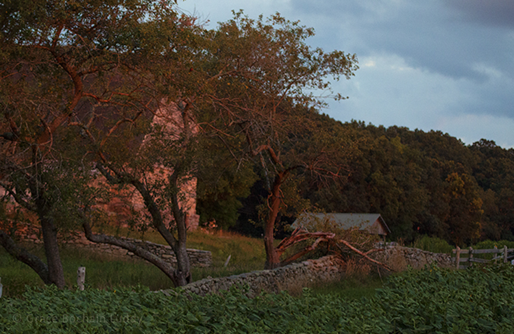 Here is the farmhouse across the street, with reflected light from the setting sun. The farm house is actually cream colored. You can see the light is very red.