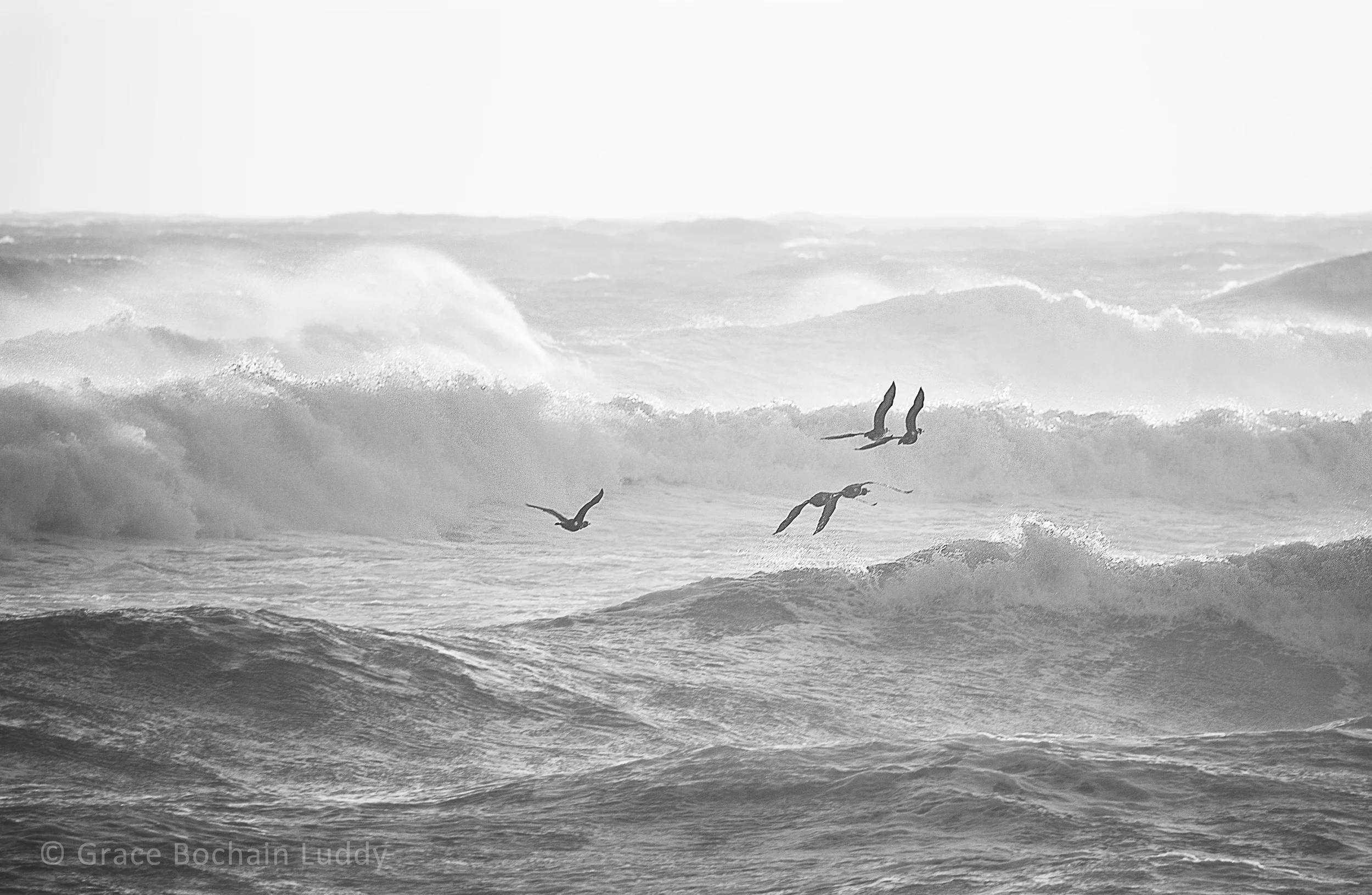Here's another Block Island wave picture, taken the same evening as the one with the big rock above. The real colors were in melon oranges and greens but the black and white was my favorite.