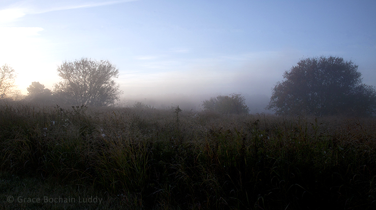 Very early morning, Quinebaug Valley Trout Hatchery, Central Village, CT.