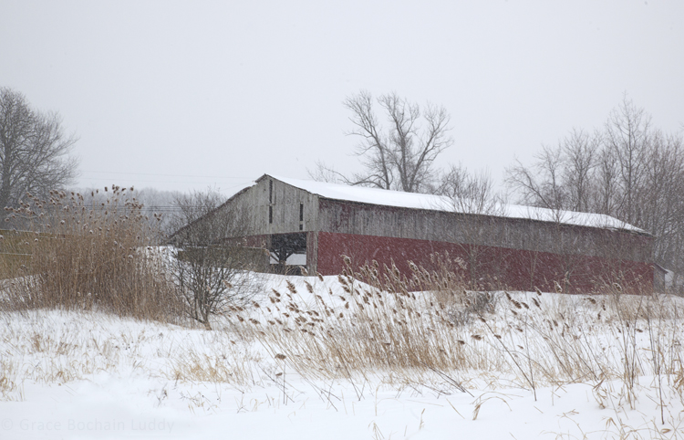 This is one of Stan's barns, taken from the fields behind. 