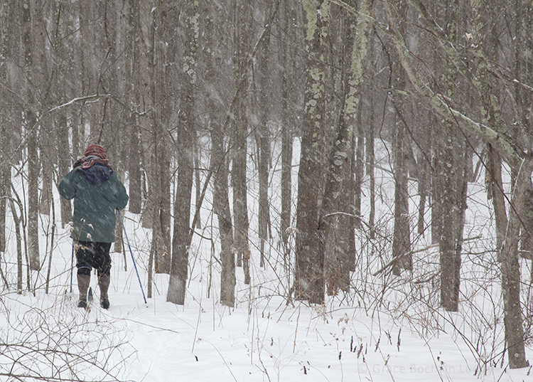 Here is Amy, being quite the nordic, woodland person.