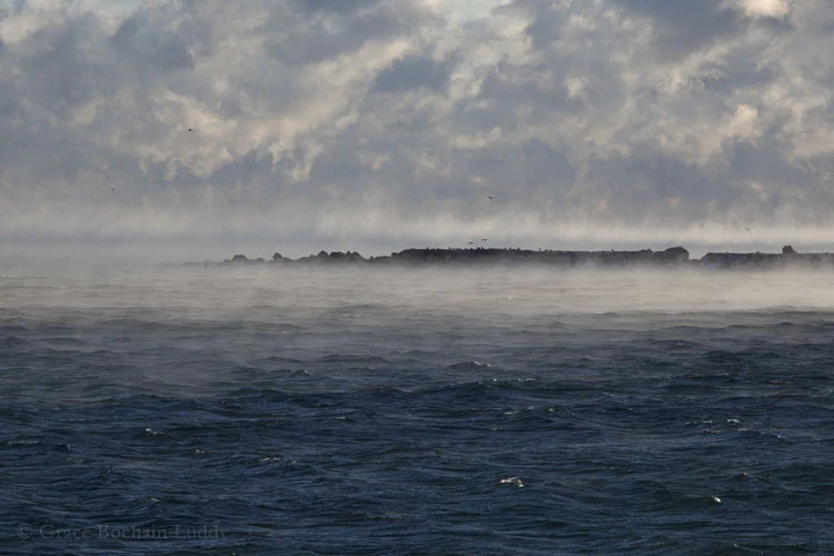 This was taken this past January, at dawn, from Corn Neck Road, looking toward the breakwater in Old Harbor. With the windchill, it was 35 degrees below zero. I had trouble getting out of the car long enough to take the picture, but if you look closely, you will see birds flying above the breakwater.