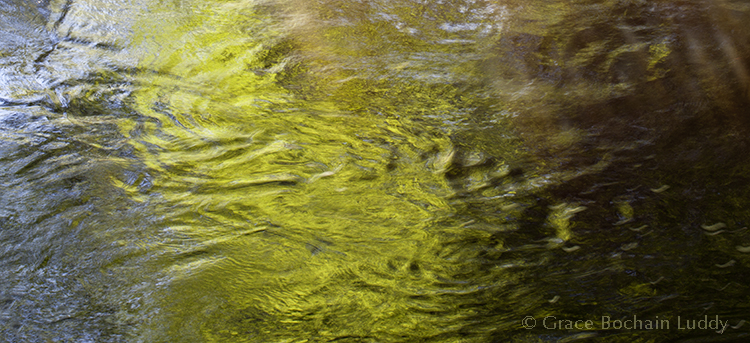 Here is another picture of the same river, except this one is taken at 1/10th of a second. This is more accurate to the way my eyes know the fast moving river... a little more blurred together.