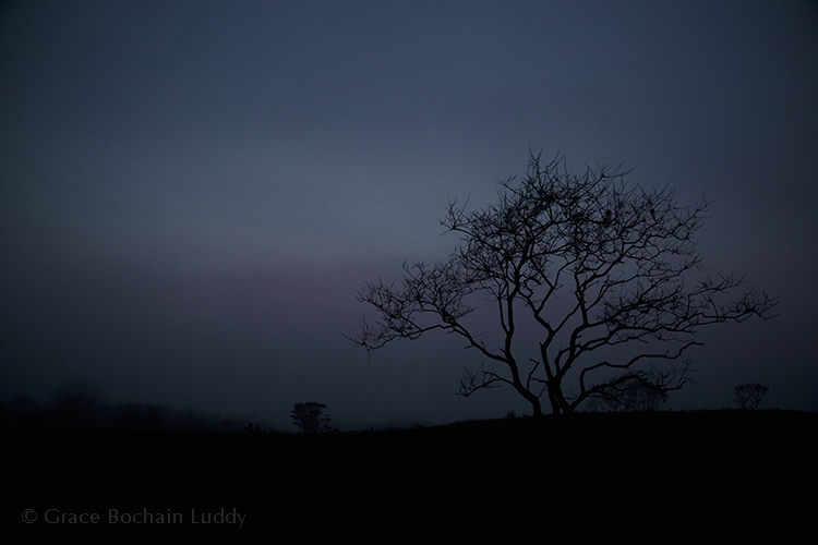 The Hollow that night.