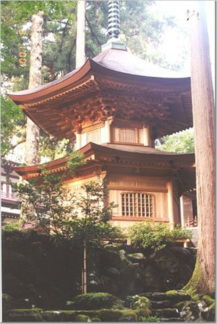 Here is a cedar building at Eiheiji.