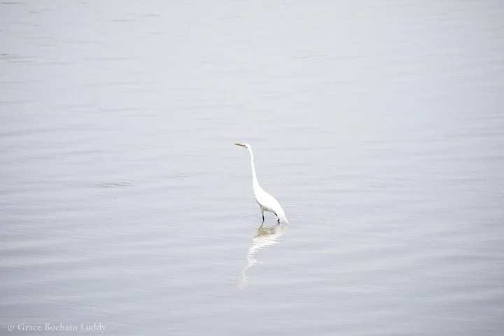 060417_5513 1 blog.jpg