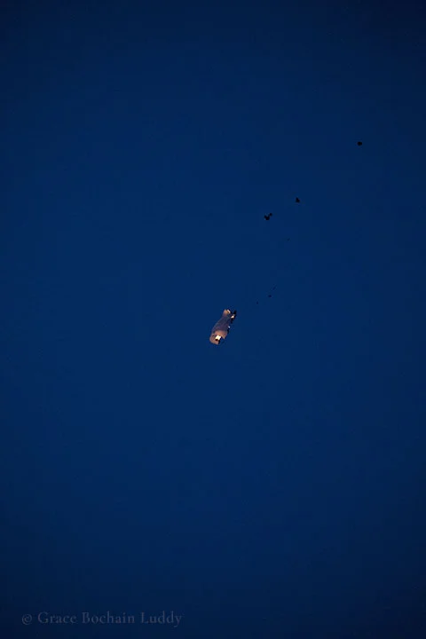 080117_8539 1 blog.jpg