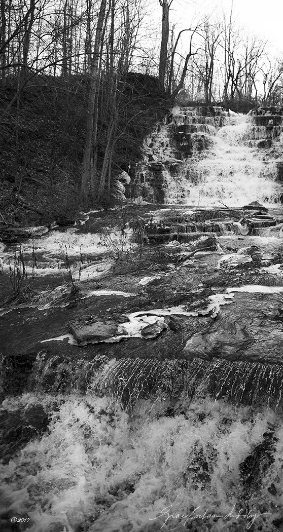 f4044414 1 1 bw blog.jpg