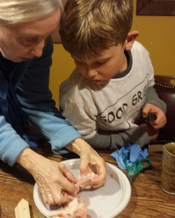 Cognitania—20151202_160234.jpeg