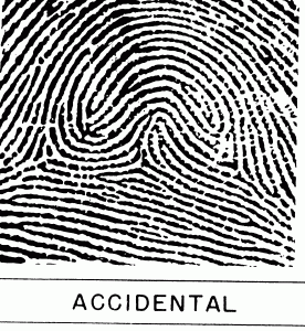 Cogitania_accidental.gif