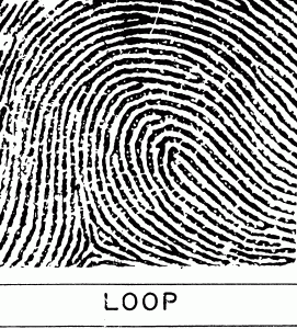 Cogitania_loop.gif