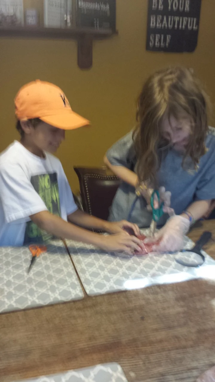 20160601_161235.jpeg