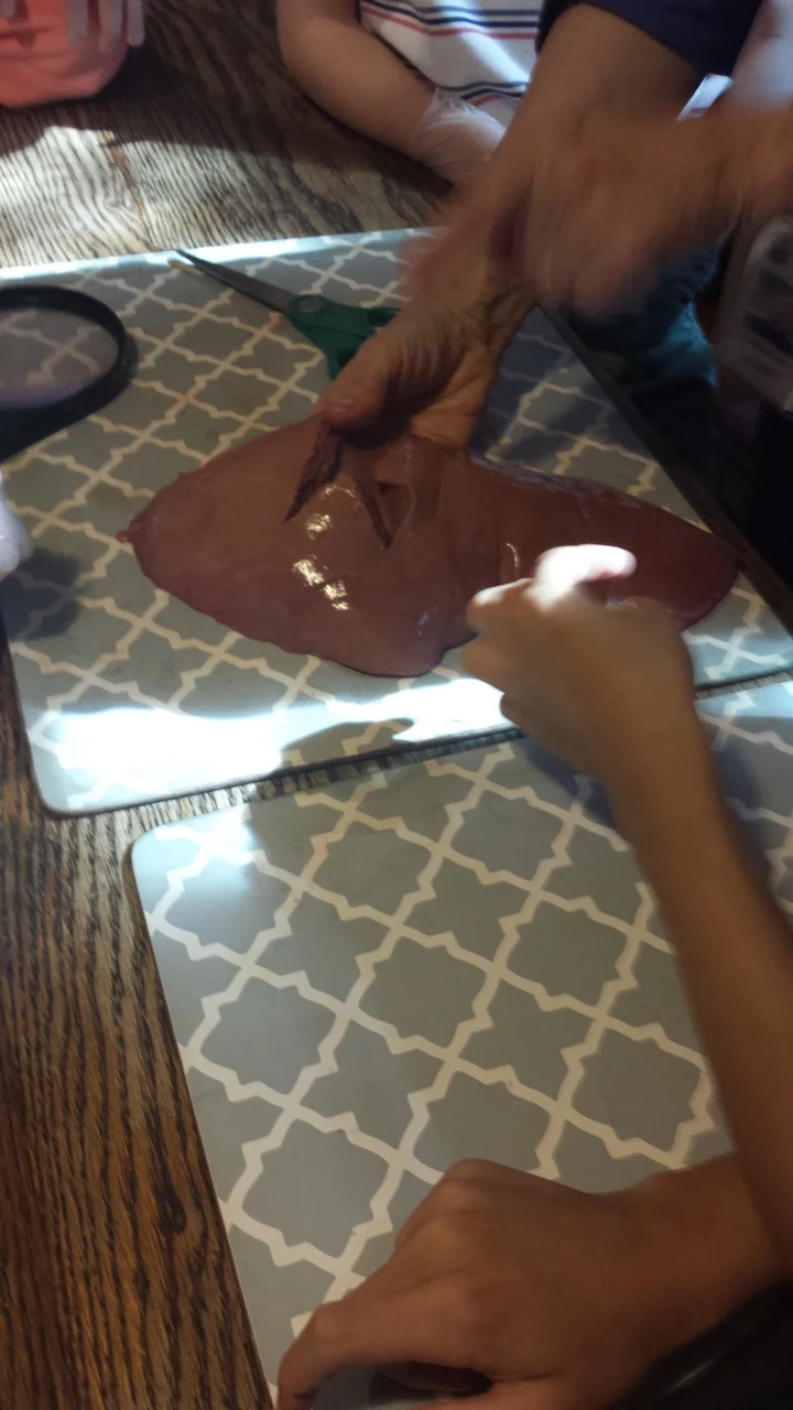 20160601_155734.jpeg