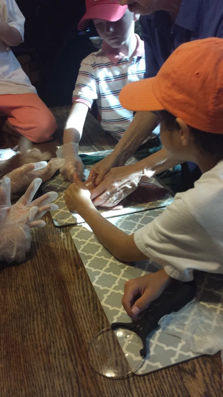 20160601_155759.jpeg