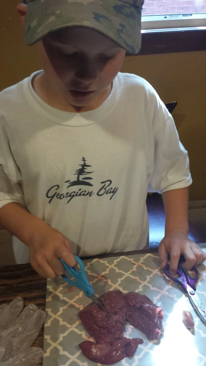 20160601_161119.jpeg