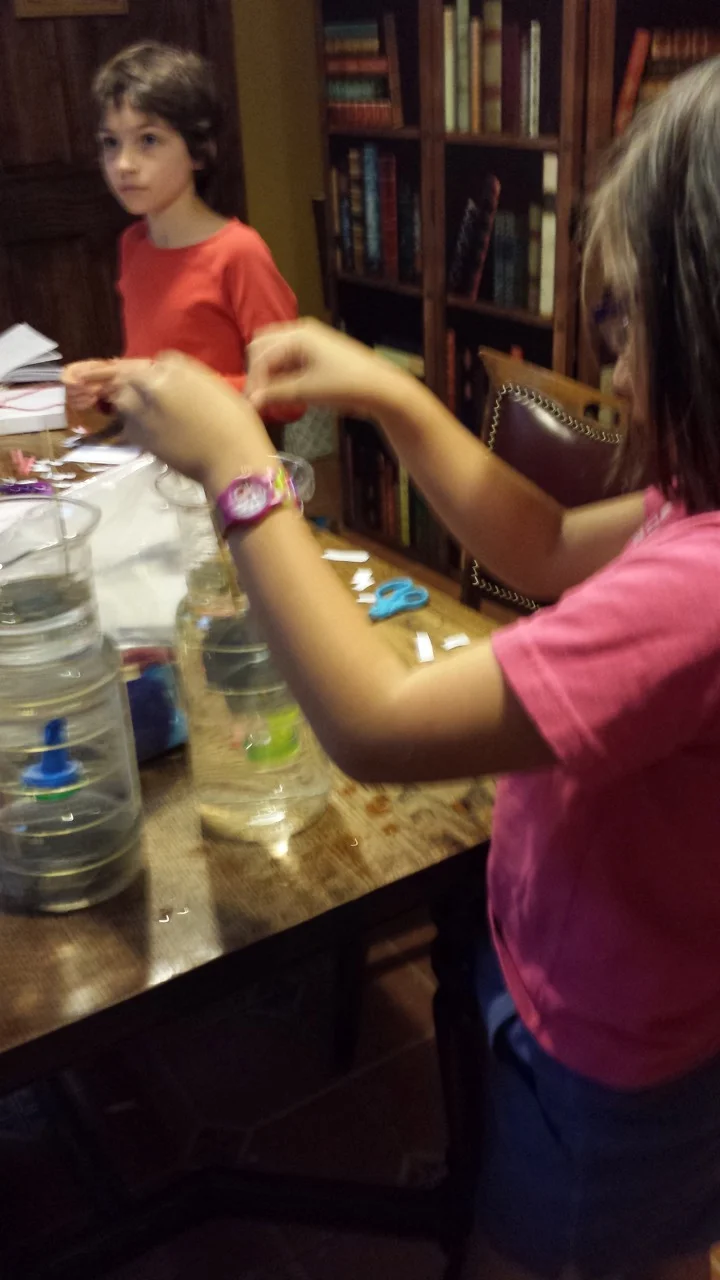 20160611_144352.jpeg