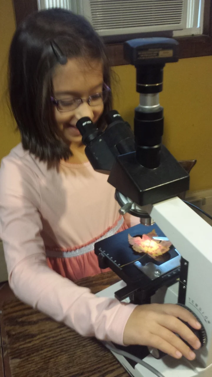 Plant Extinction Part II