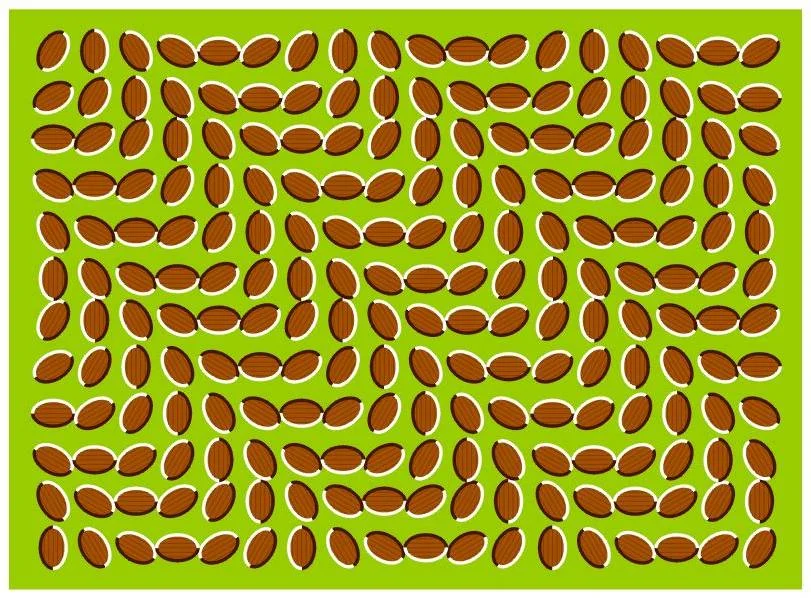 OPTICAL ART - hidden images or movement