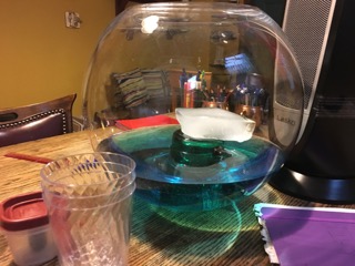 Earth’s Biomes, focusing on the Arctic Tundra