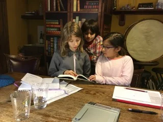 summary from last Saturday, 2/4th botany