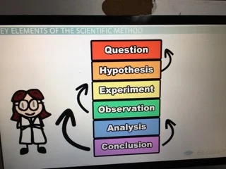 The Scientific Method and Grassland Biome