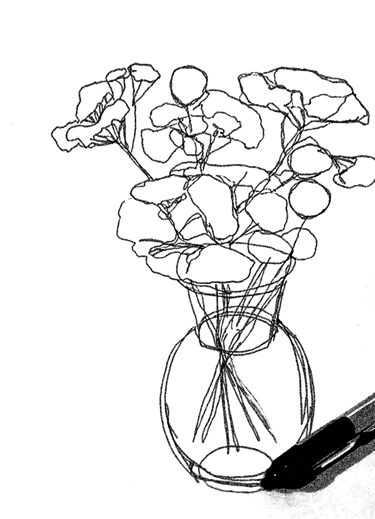 Looking, Seeing and Drawing