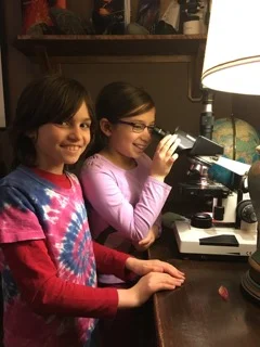 Flower Pollination and Fertilization