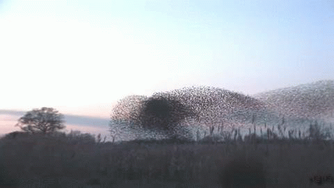 Summary for Psychology of Consciousness, 5/9