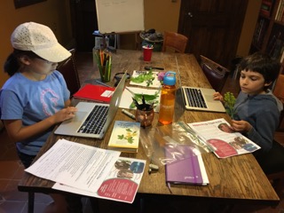 Cogitania Students learn the Linnaeus System of Naming Organisms