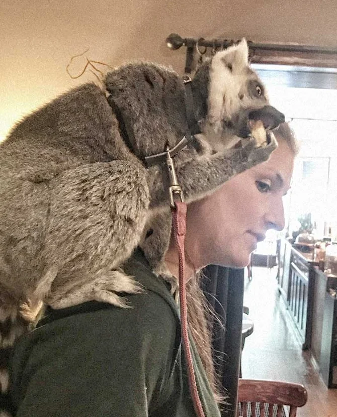 Live animals!