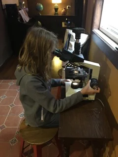 Photosynthesis, Respiration, and Plant Chemistry