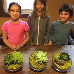 Ecosystems, The Water Cycle, and Terrariums