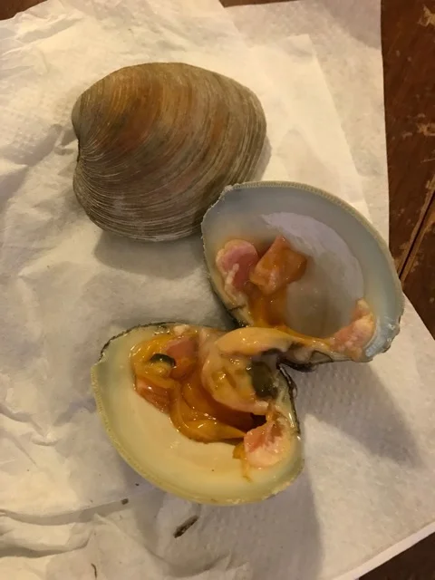 Comparing Clam to Fish